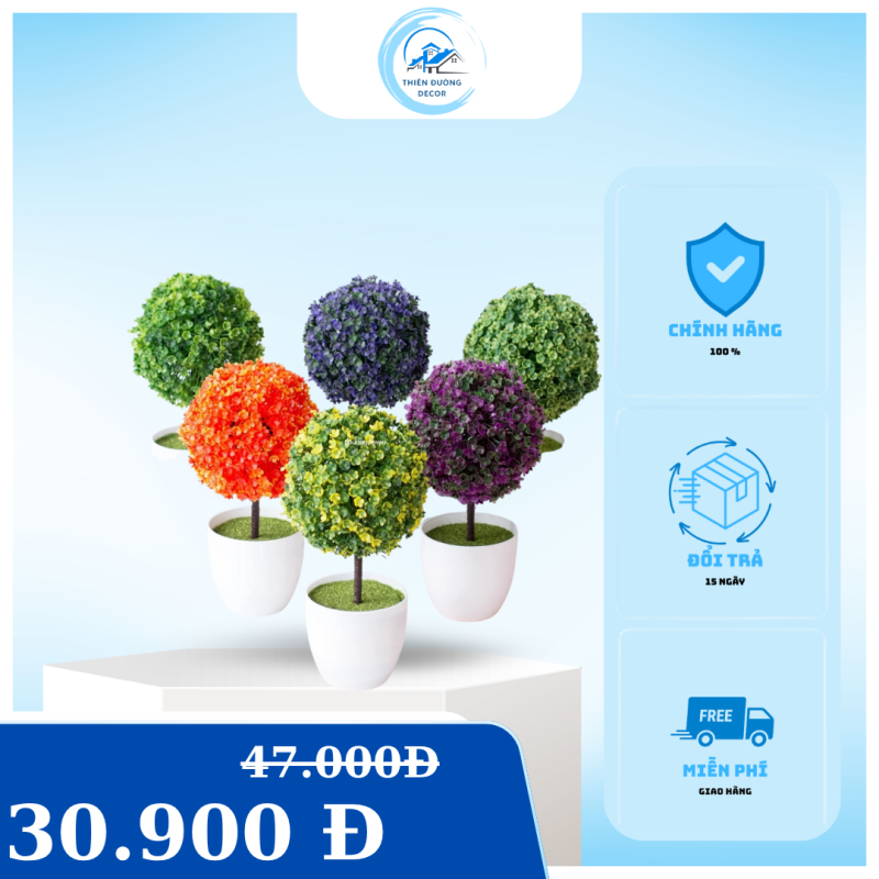 cach-chon-binh-hoa-phu-hop