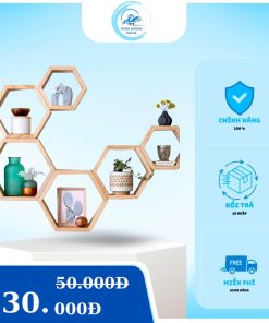 Kệ gỗ hình tổ ong sang trọng treo tường